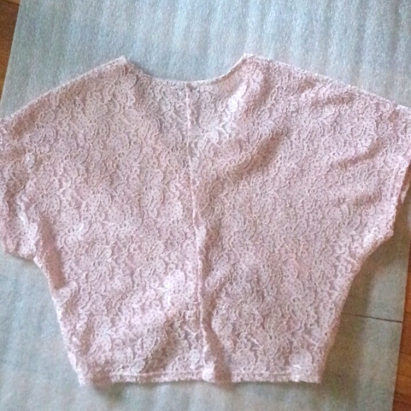 Zara Tops Zara Pink Floral Lace Crop Top S Poshmark